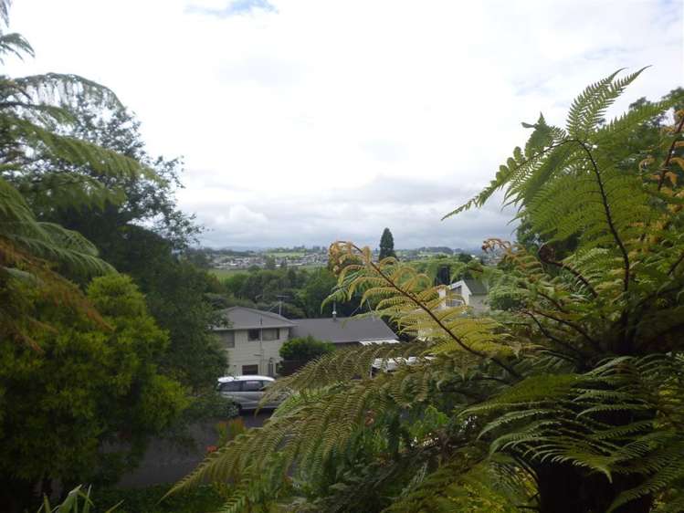 501 Taylor Avenue Te Awamutu_24