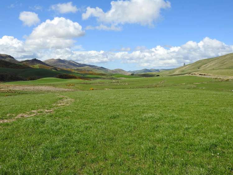 972 Slopedown Road Catlins Surrounds_15