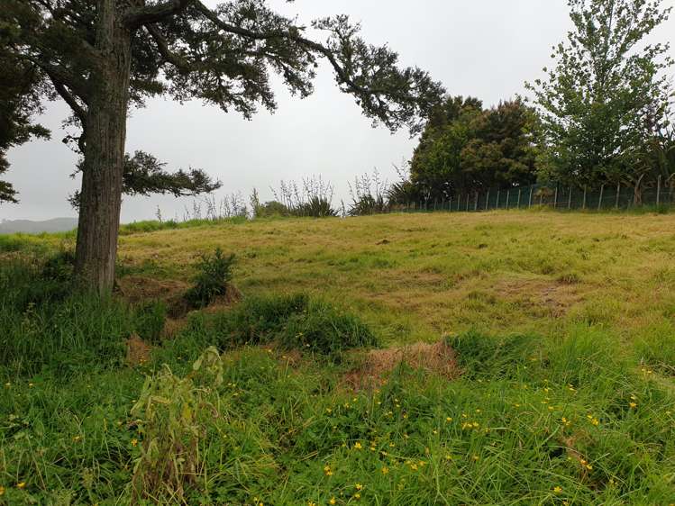 217 Heatley Road Whakapirau_3