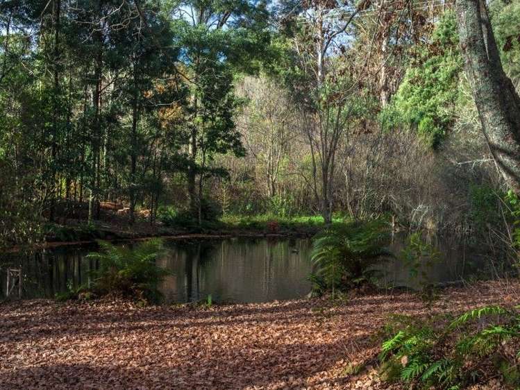 763 Paradise Valley Road Ngongotaha Valley_7