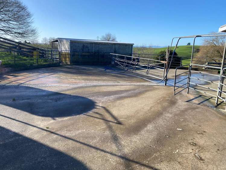 84 Tihiroa Road Otorohanga_23