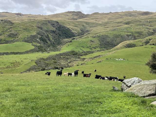 49 Top Road Middlemarch_4