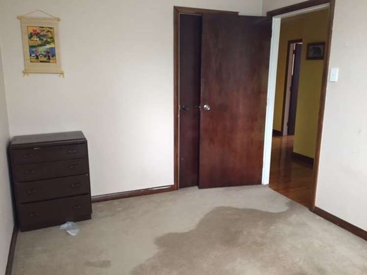 87 Hillsborough Road Hillsborough_12