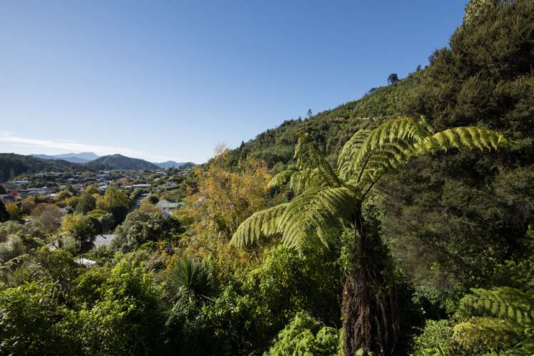 3b Milton Terrace Picton_4