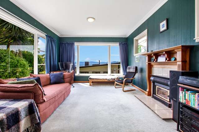 46 Mana Street Vogeltown_2