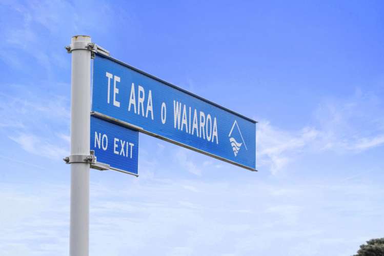 1A Te Ara O Waiaroa Oakura_7