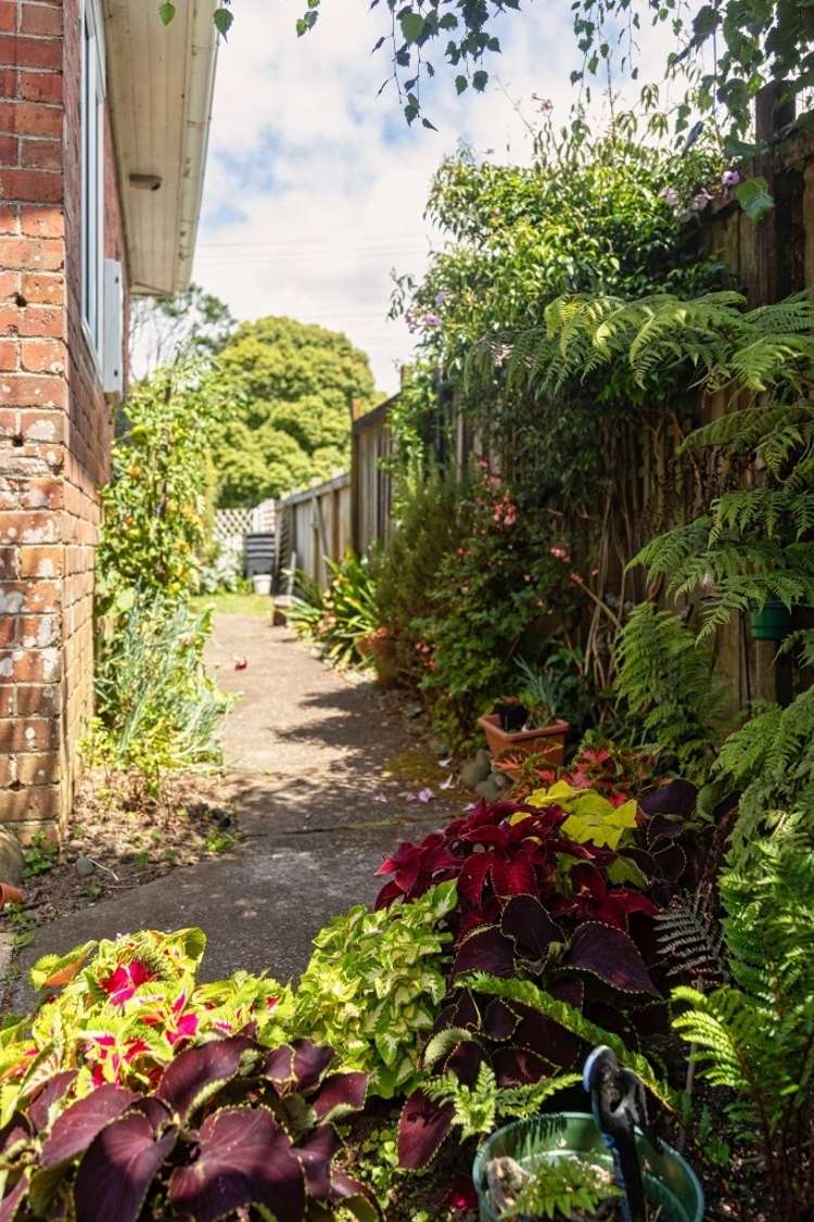 104 Blockhouse Bay Road Avondale_16