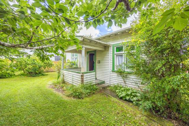 131 Nixon Street Hamilton East_3