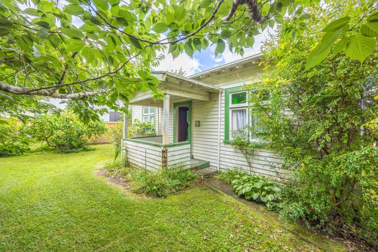 131 Nixon Street Hamilton East_3