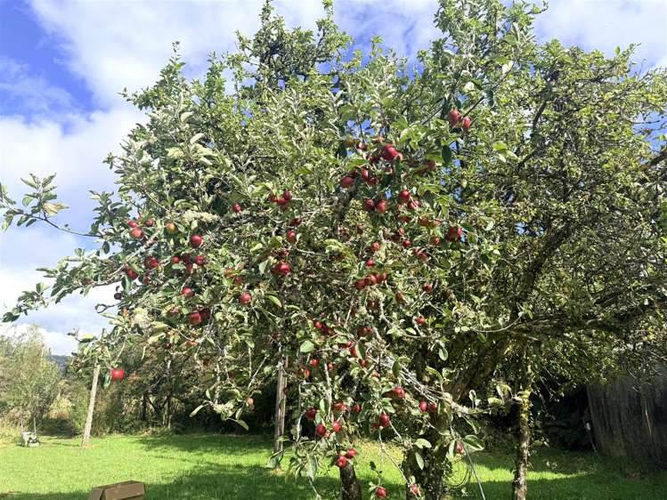 2589 State Highway 7 Ngahere_23