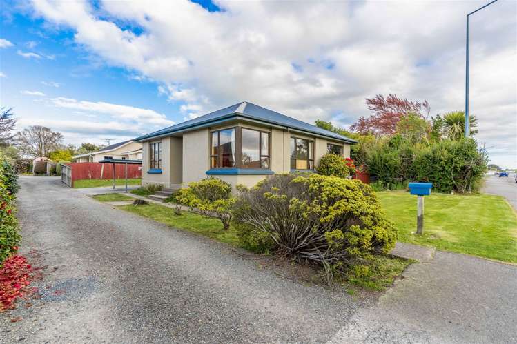 103 Exmouth Street Waverley_0