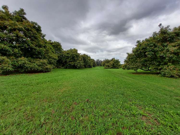 168 No 1 Road Te Puke_16