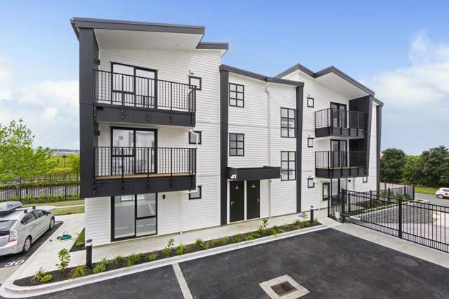 169 Chapel Road Flat Bush_4