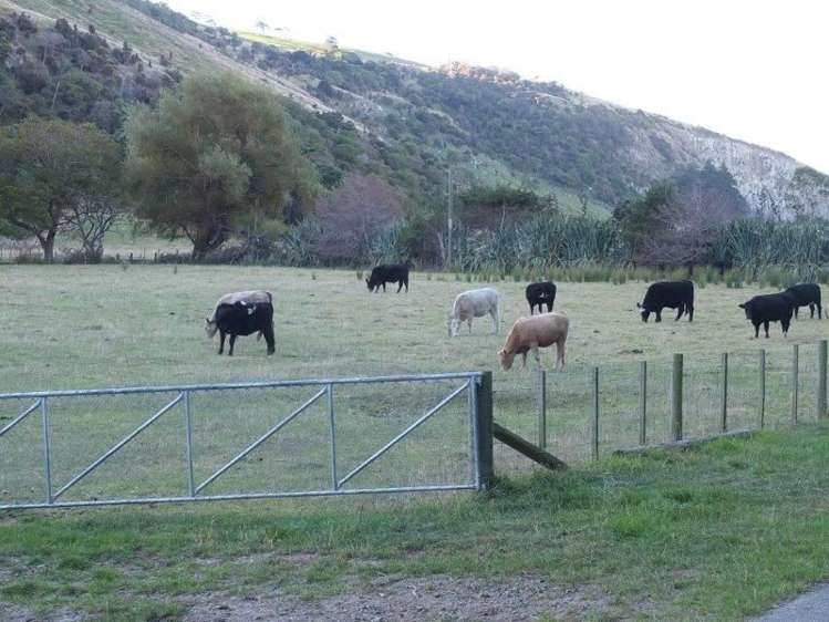 831 Chorlton Road Little Akaloa_21