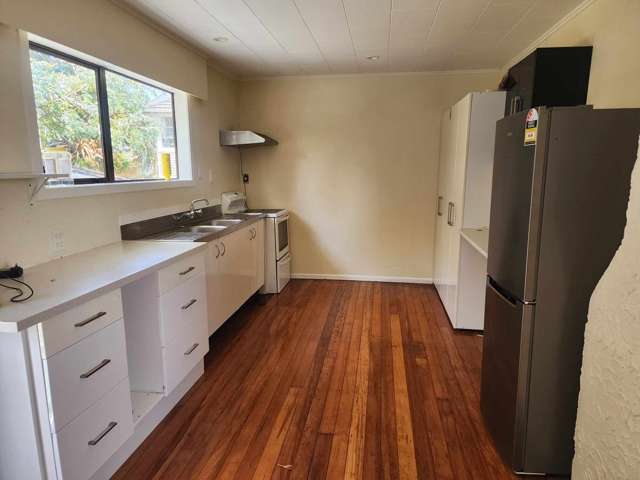 13 Martin Street Porirua East_3