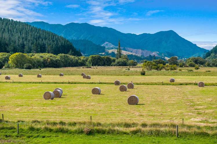 State Highway 1 Koromiko_22