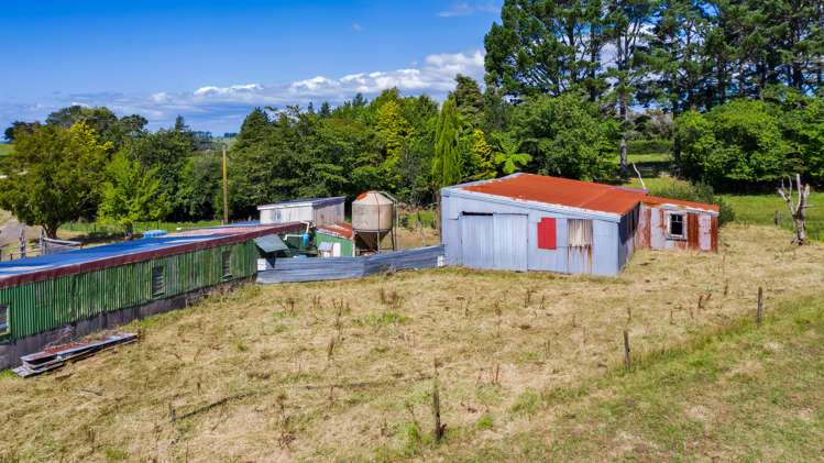 1256 Mangorei Road Mangorei_8