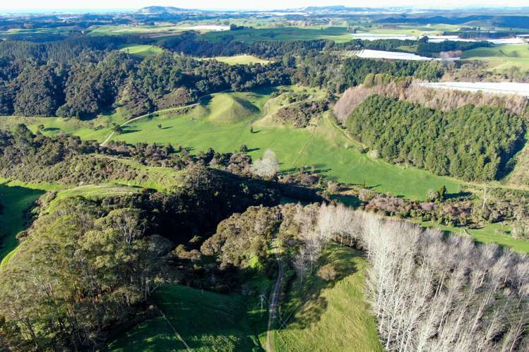 Maniatutu Road Pongakawa_20