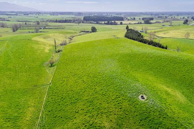 538 Pleasant Valley Road Geraldine Downs_1