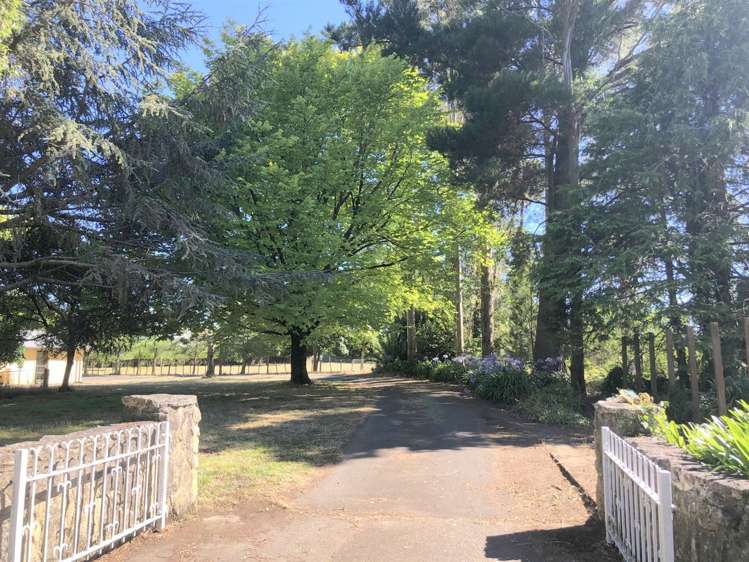 83 Porangahau Road Waipukurau and Surrounds_18