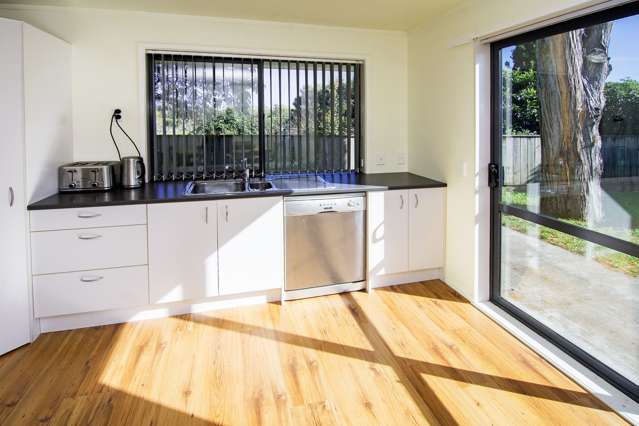 85b Oxford Street Masterton_4