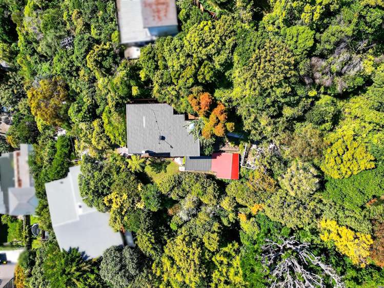 19 Karaka Street Eastbourne_41