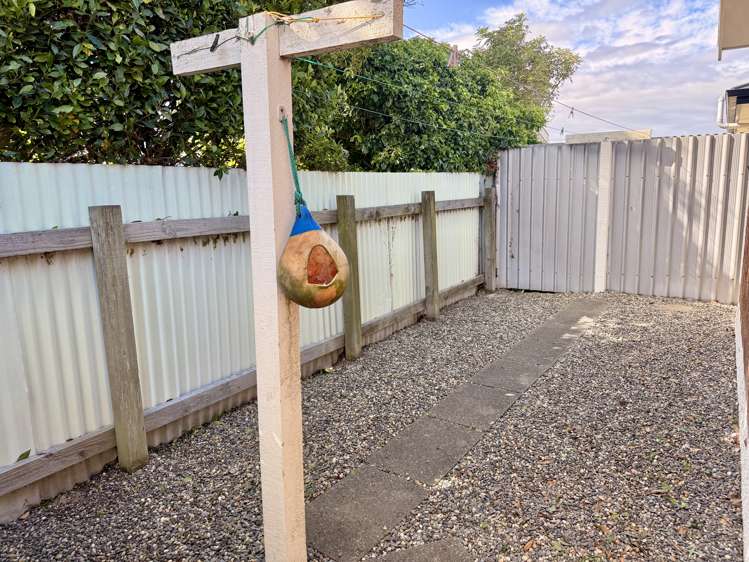 64 Maitland Street Strathern_37