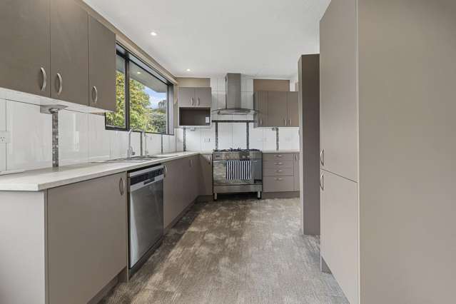 174 Huatoki Street Upper Vogeltown_4