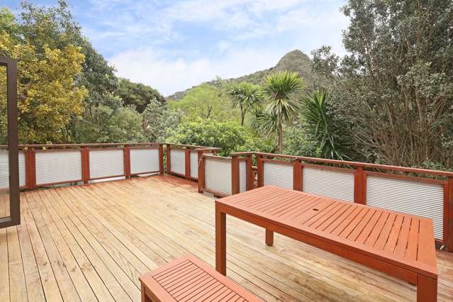 67 Glenesk Road Piha_4