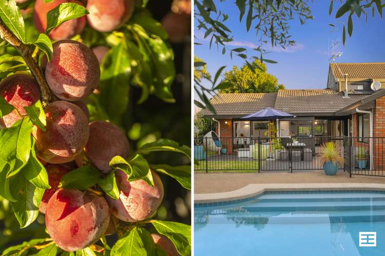 73 Manuwai Drive Matua_15