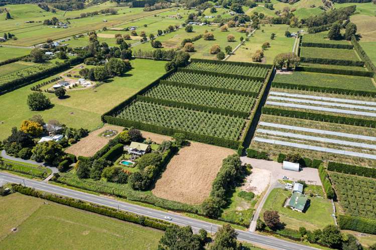 121a Macdonald Road Te Teko_19