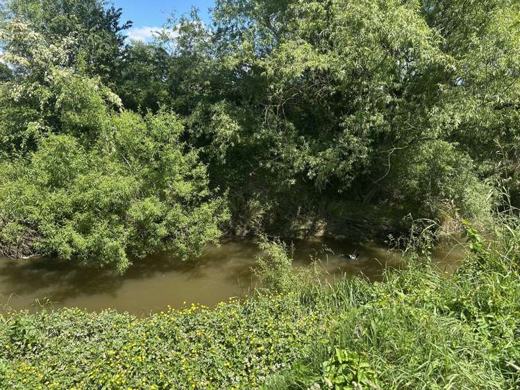 54 Puahue Road Te Awamutu_15