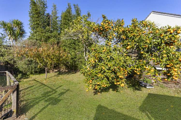 7 Fairclough Road Beach Haven_12