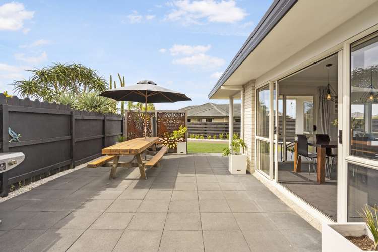 24b Hibiscus Avenue Mount Maunganui_7