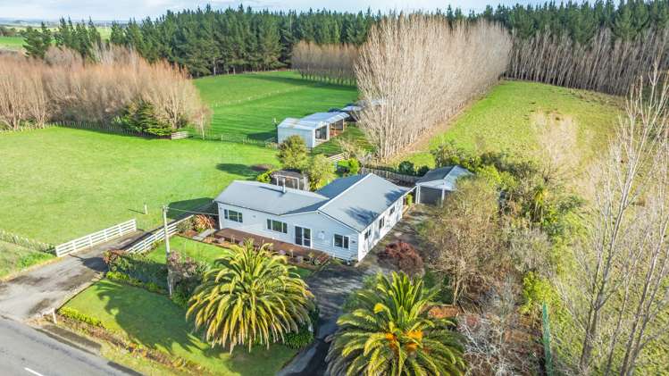 334 Mount Biggs Road Halcombe_0