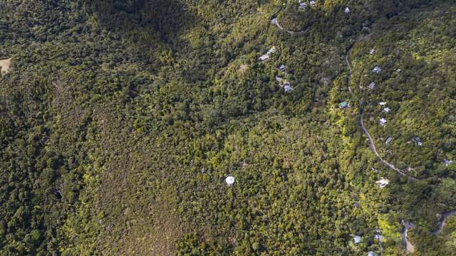 62 Lone Kauri Road Karekare_3