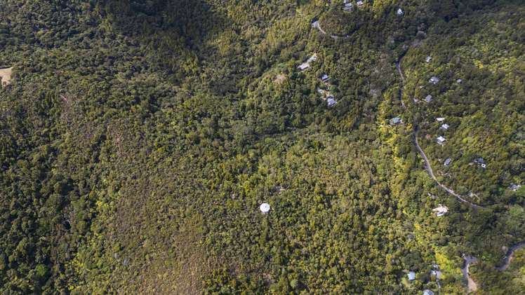 62 Lone Kauri Road_3