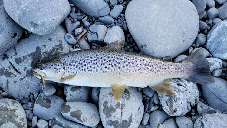 2254 Mouse Point Road Hanmer Springs_26