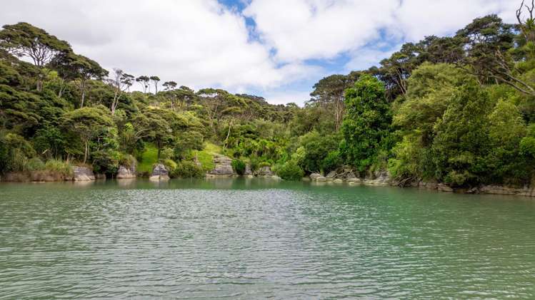 505 Te Akau Wharf Road Te Akau_21