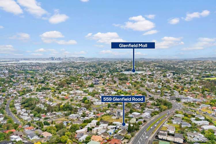 559 Glenfield Road Glenfield_24