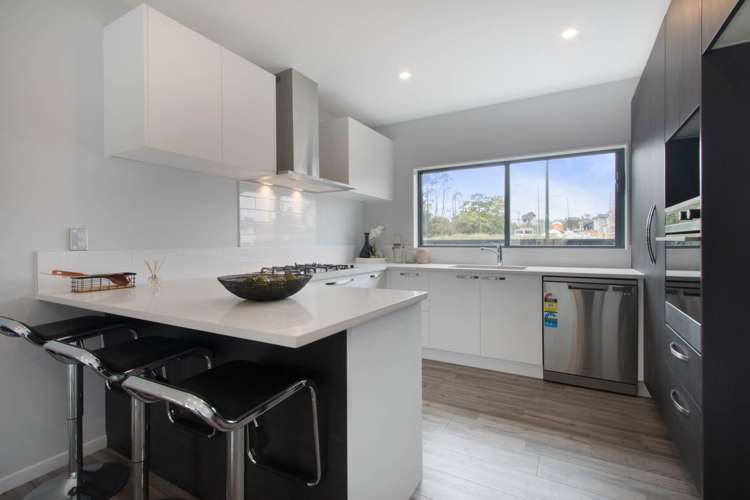 9a Mcquoids Road Flat Bush_1