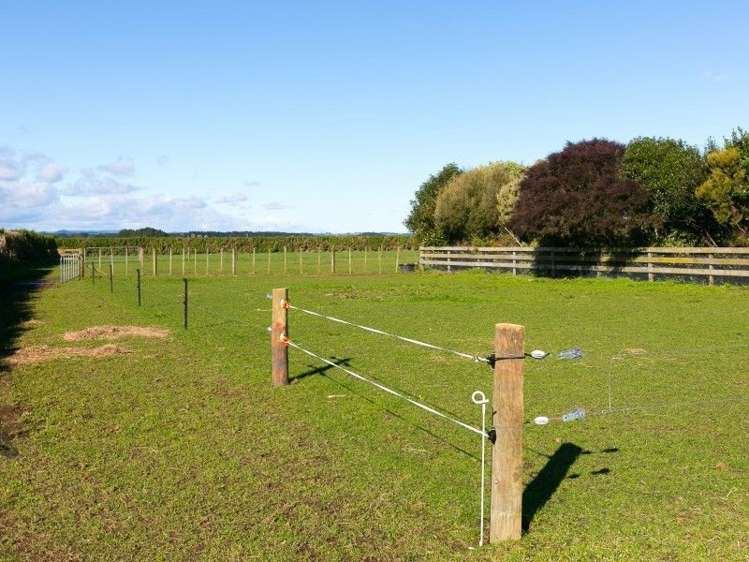 5881 Mountain Road Normanby_40