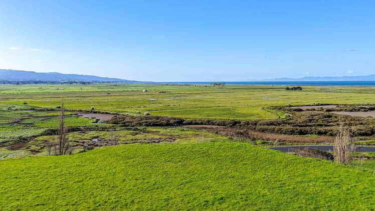 905 Miranda Road Miranda_16