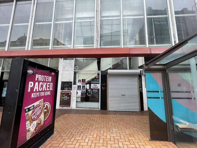Level 1, 110 Manner Street Wellington Central_1
