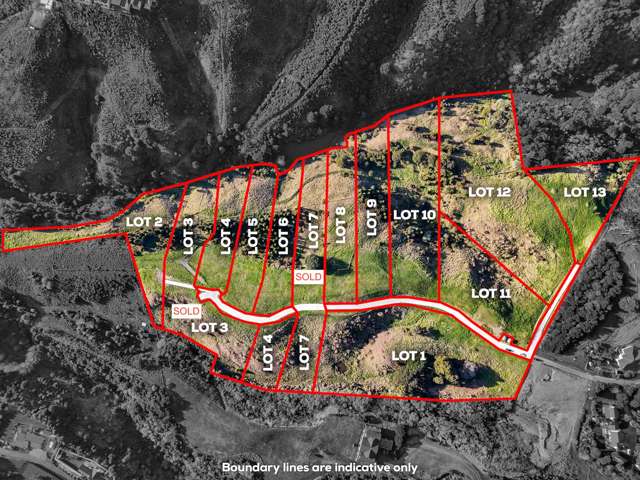 Lot 10/582 Redoubt Road Flat Bush_2