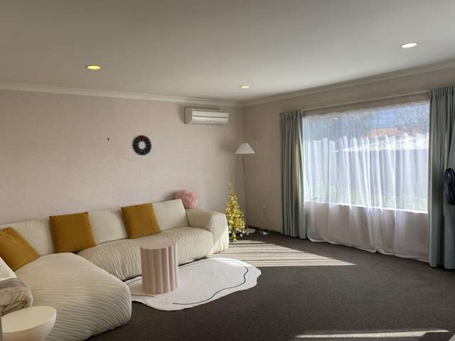 1436B Cameron Road Greerton_3