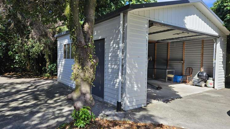 275a Carrington Street Vogeltown_20