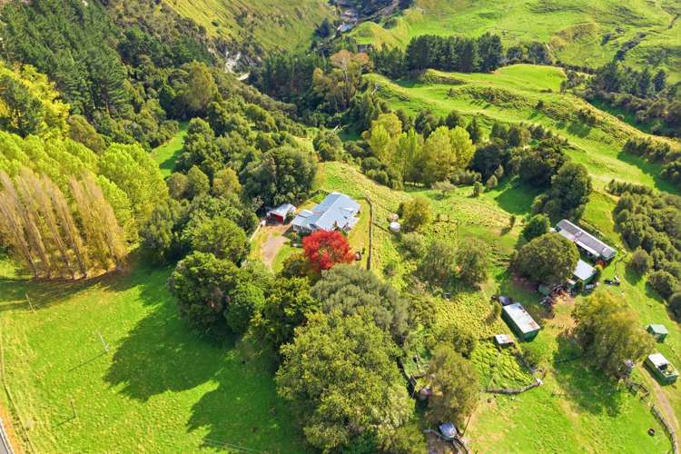 3499 State Highway 4 Kakatahi_29