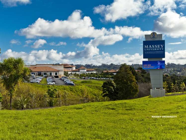 385 East Coast Road Mairangi Bay_20