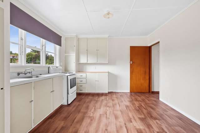 15B Roosevelt Street Levin_1
